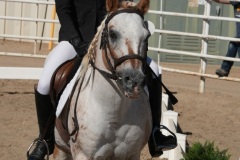 HCWE-Sept-Sun-Dressage-0113-3