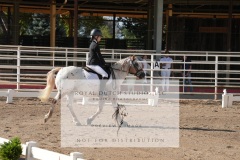HCWE-Sept-Sun-Dressage-0114-3