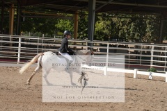 HCWE-Sept-Sun-Dressage-0116-3