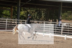HCWE-Sept-Sun-Dressage-0117-3
