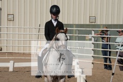 HCWE-Sept-Sun-Dressage-0119-3