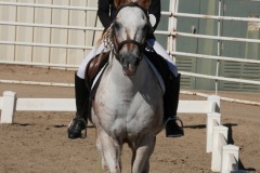 HCWE-Sept-Sun-Dressage-0120-3