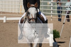 HCWE-Sept-Sun-Dressage-0121-3