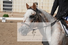 HCWE-Sept-Sun-Dressage-0122-3