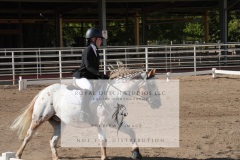 HCWE-Sept-Sun-Dressage-0123-3