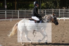 HCWE-Sept-Sun-Dressage-0124-3