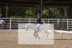 HCWE-Sept-Sun-Dressage-0126-3