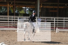 HCWE-Sept-Sun-Dressage-0128-3