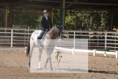 HCWE-Sept-Sun-Dressage-0130-3