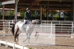 HCWE-Sept-Sun-Dressage-0132-3