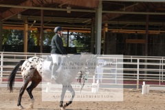 HCWE-Sept-Sun-Dressage-0133-3