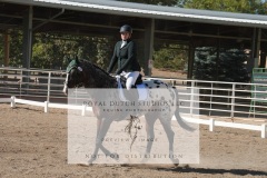 HCWE-Sept-Sun-Dressage-0134-3