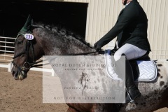 HCWE-Sept-Sun-Dressage-0135-3