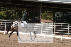 HCWE-Sept-Sun-Dressage-0136-3