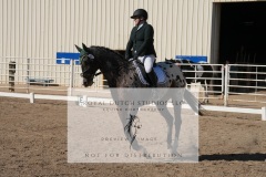 HCWE-Sept-Sun-Dressage-0138-3