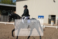 HCWE-Sept-Sun-Dressage-0139-3