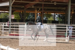 HCWE-Sept-Sun-Dressage-0141-3
