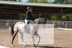 HCWE-Sept-Sun-Dressage-0142-3