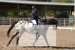 HCWE-Sept-Sun-Dressage-0143-3