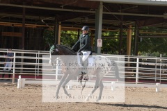 HCWE-Sept-Sun-Dressage-0144-3