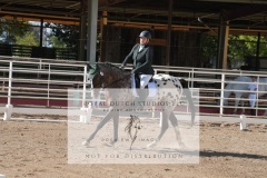 HCWE-Sept-Sun-Dressage-0145-3