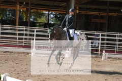 HCWE-Sept-Sun-Dressage-0146-3