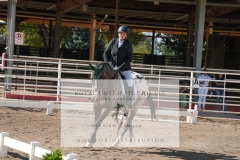 HCWE-Sept-Sun-Dressage-0147-3