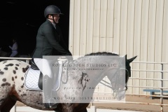 HCWE-Sept-Sun-Dressage-0148-3