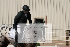 HCWE-Sept-Sun-Dressage-0149-3