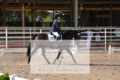HCWE-Sept-Sun-Dressage-0151-3