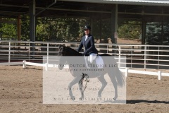 HCWE-Sept-Sun-Dressage-0152-3