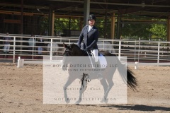 HCWE-Sept-Sun-Dressage-0153-3