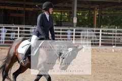 HCWE-Sept-Sun-Dressage-0155-3