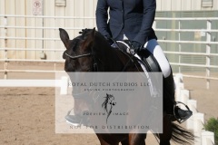 HCWE-Sept-Sun-Dressage-0157-3