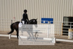 HCWE-Sept-Sun-Dressage-0158-3
