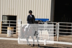 HCWE-Sept-Sun-Dressage-0159-3