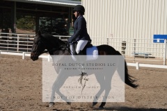 HCWE-Sept-Sun-Dressage-0160-3