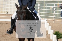 HCWE-Sept-Sun-Dressage-0161-3