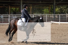 HCWE-Sept-Sun-Dressage-0163-3