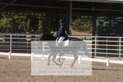HCWE-Sept-Sun-Dressage-0164-3
