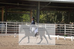 HCWE-Sept-Sun-Dressage-0165-3
