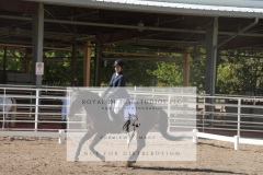 HCWE-Sept-Sun-Dressage-0166-3