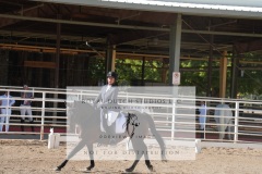 HCWE-Sept-Sun-Dressage-0167-3