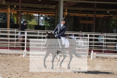 HCWE-Sept-Sun-Dressage-0169-3