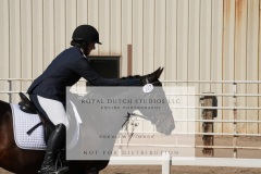 HCWE-Sept-Sun-Dressage-0170-3