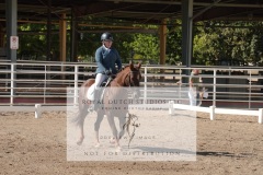 HCWE-Sept-Sun-Dressage-0171-3