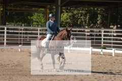 HCWE-Sept-Sun-Dressage-0172-3