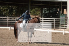 HCWE-Sept-Sun-Dressage-0173-3