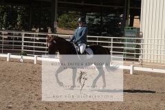 HCWE-Sept-Sun-Dressage-0174-3