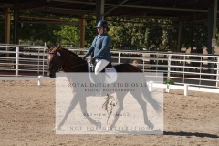 HCWE-Sept-Sun-Dressage-0175-3
